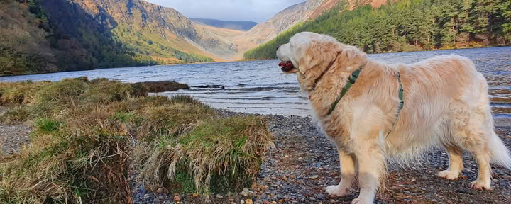 Santuario de Glendalough