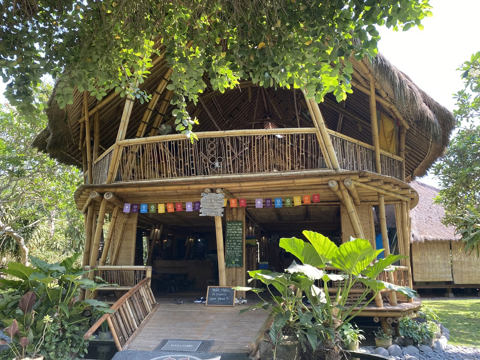 Oasis del Poder del Ahora
