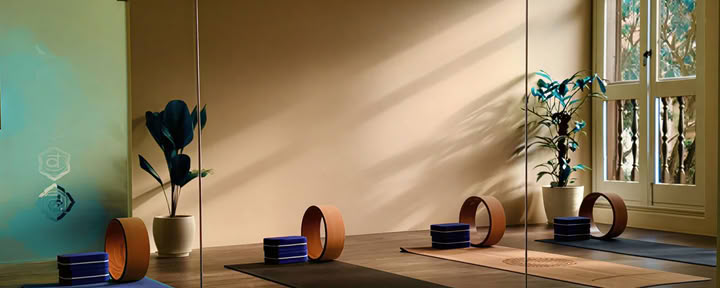 Rudrakshaa Yogashala – Estudio de yoga tradicional en Singapur