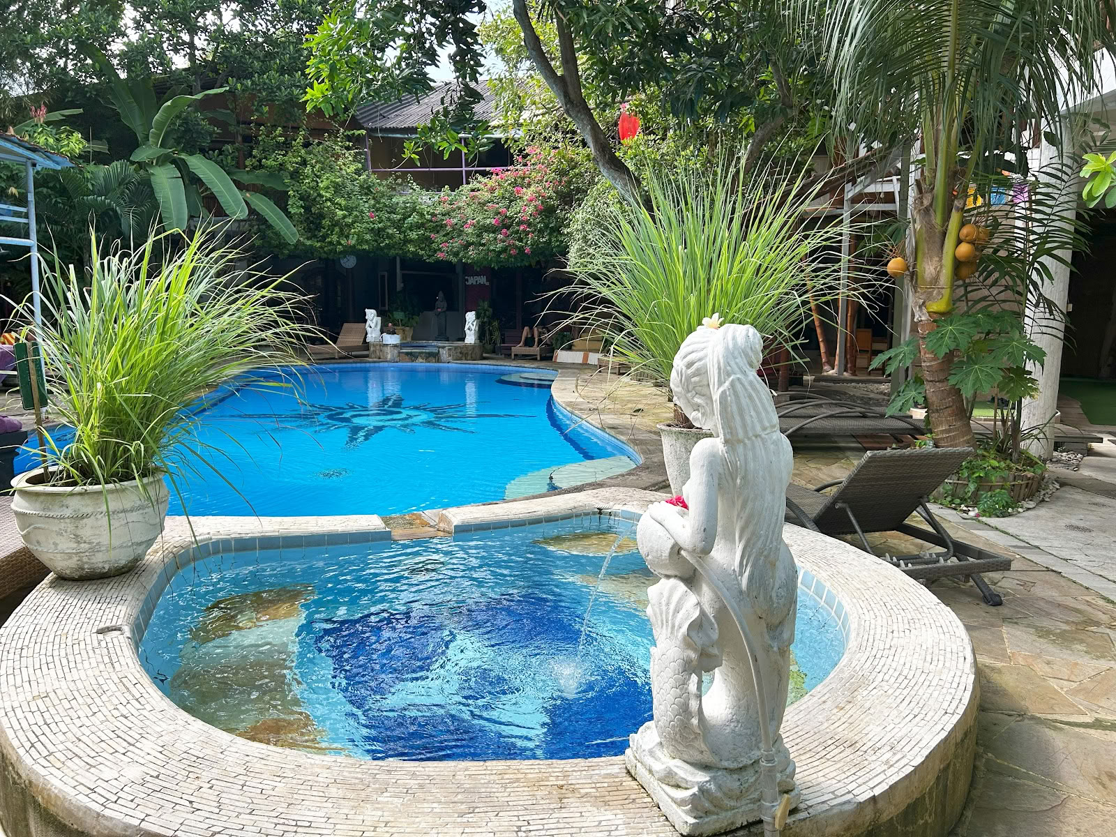Serenidad Eco Guesthouse y Yoga