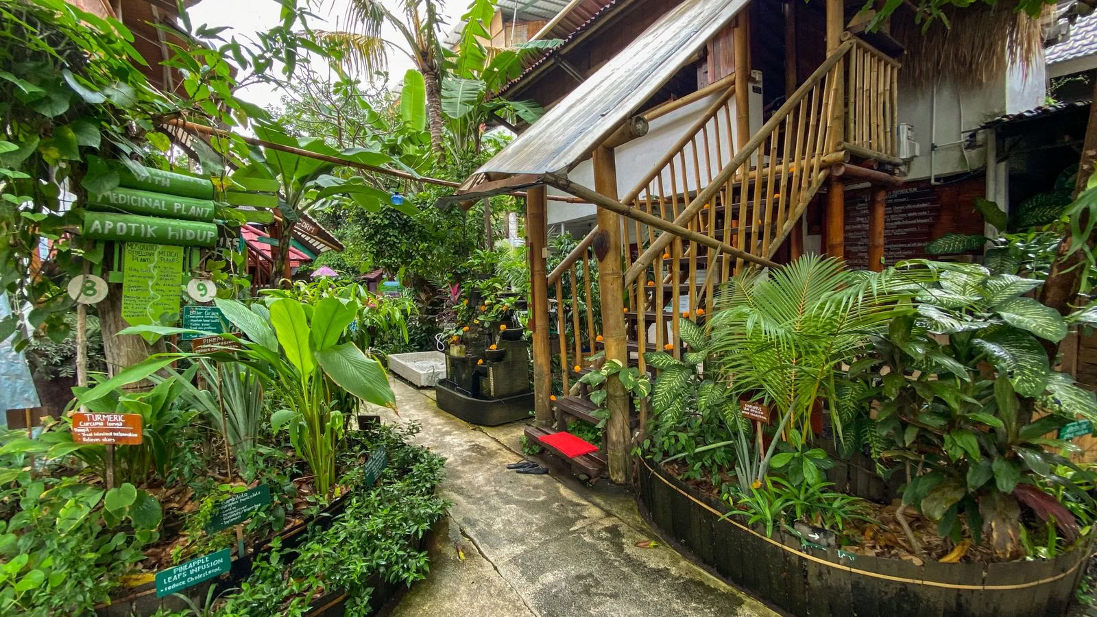 Serenidad Eco Guesthouse y Yoga