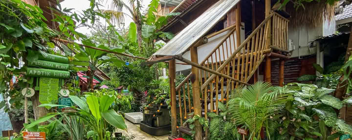 Serenidad Eco Guesthouse y Yoga