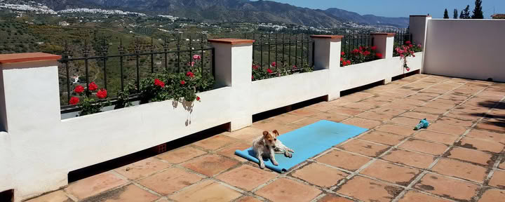 Vacaciones de yoga Paradiso. La Rejana