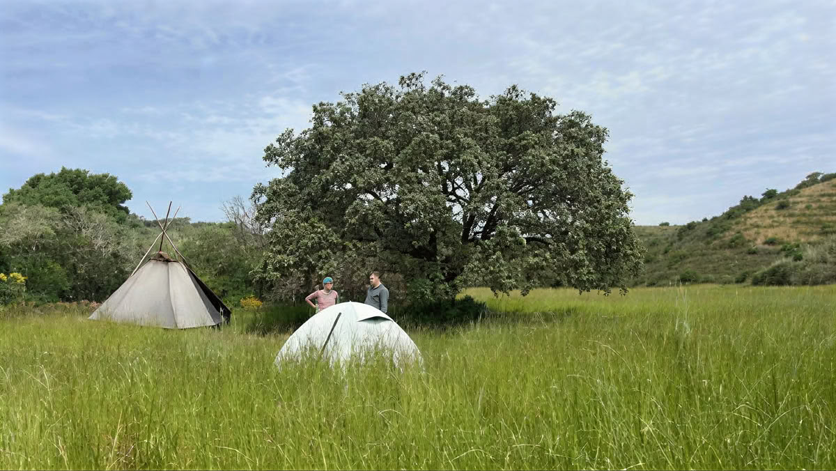 Escuela de Supervivencia en el Bosque