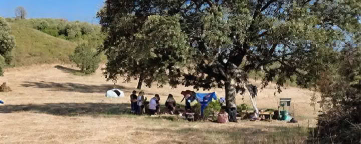 Escuela de Supervivencia en el Bosque