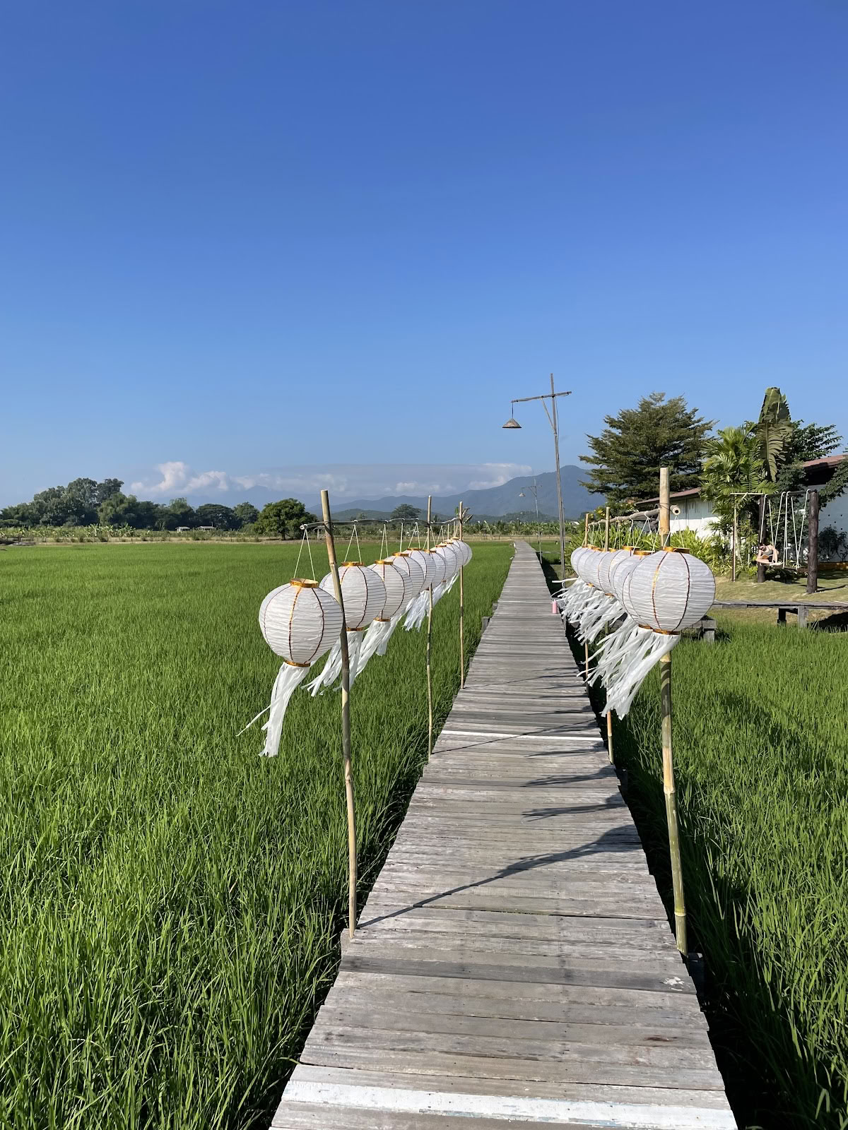 Centro de retiros de yoga Suan Sati