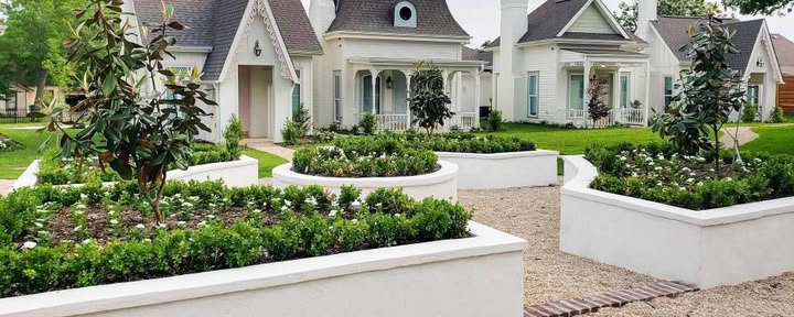 La finca Bingham