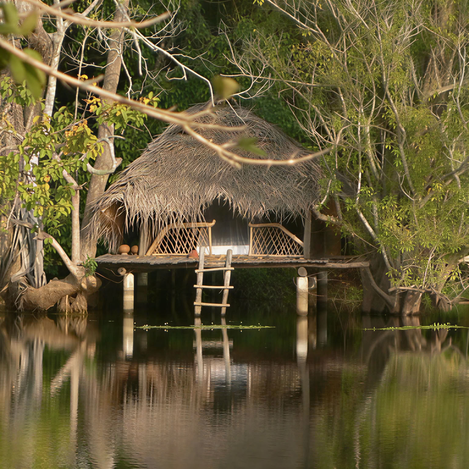Retiro de Yoga y Ayurveda de Ulpotha