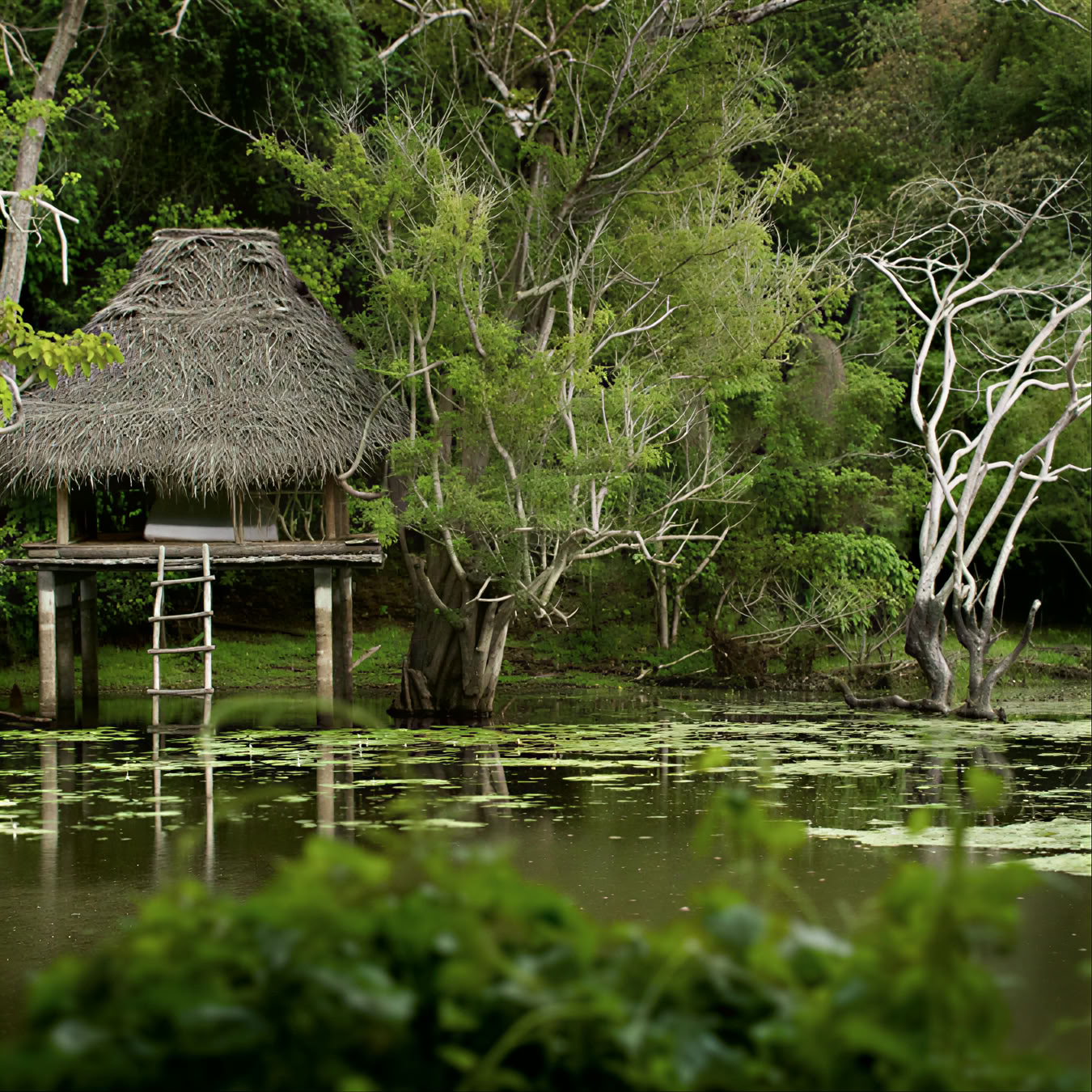 Retiro de Yoga y Ayurveda de Ulpotha