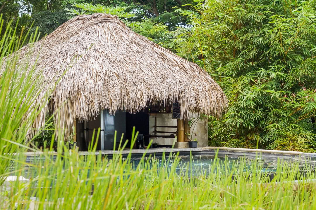 Santosha Surf Sanctuary y Bienestar