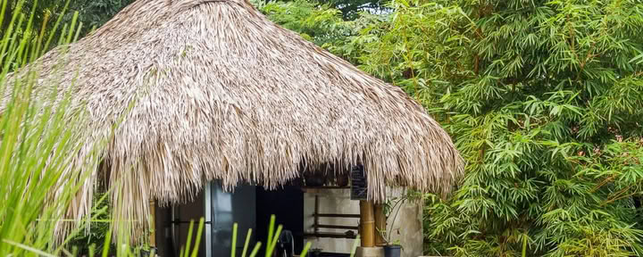 Santosha Surf Sanctuary y Bienestar