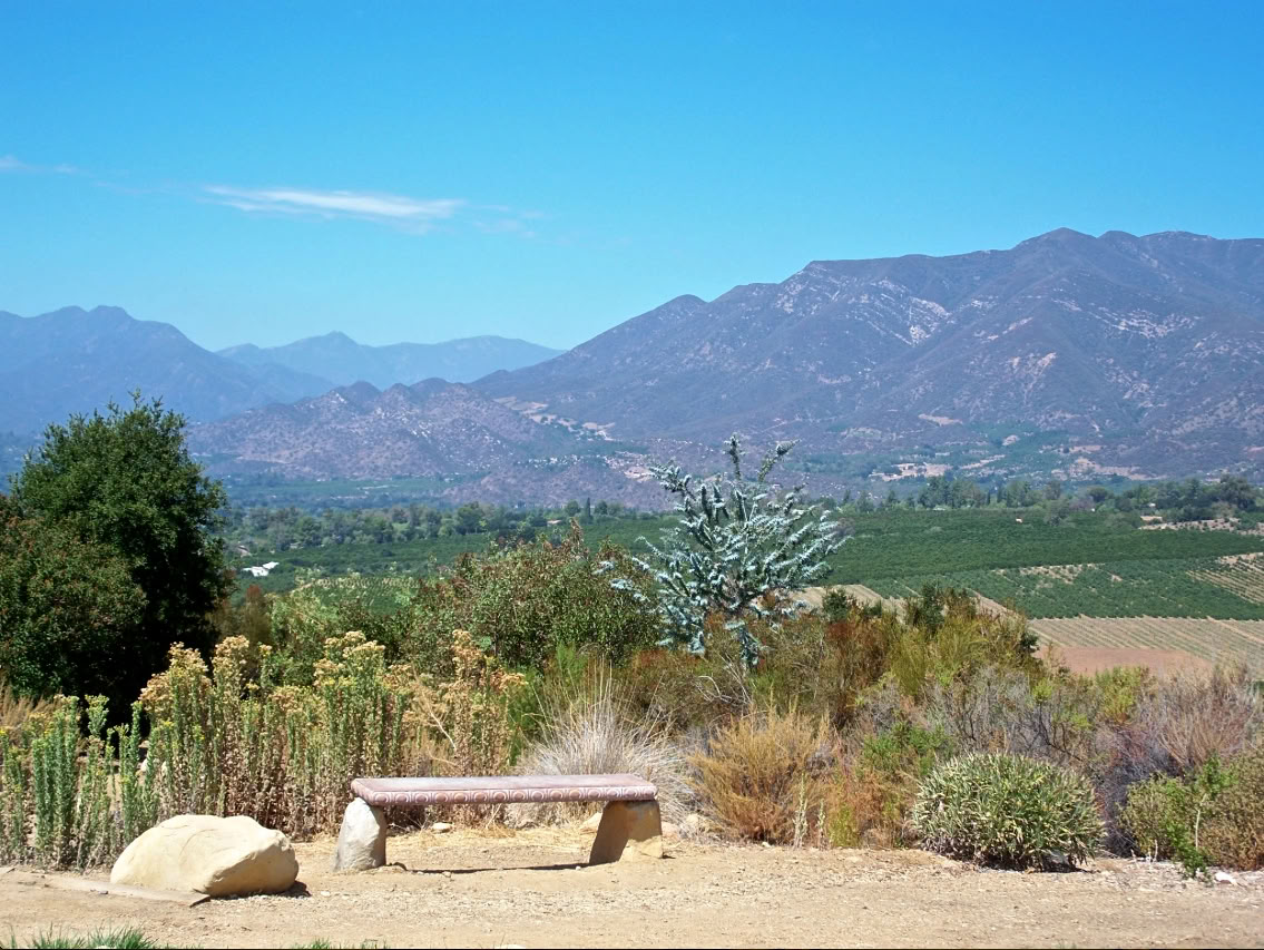 Monte de Meditación