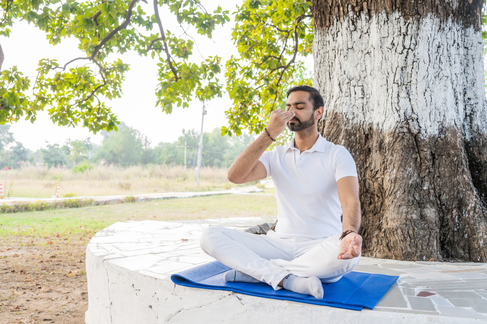 Arhanta - Ashram de formación de profesores de yoga en la India