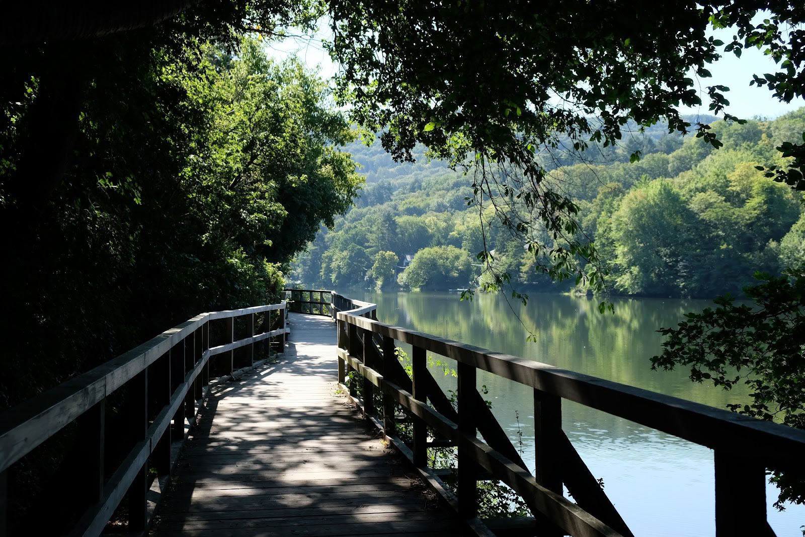 Escuela de yoga Anandam — Parque Nacional del Eifel