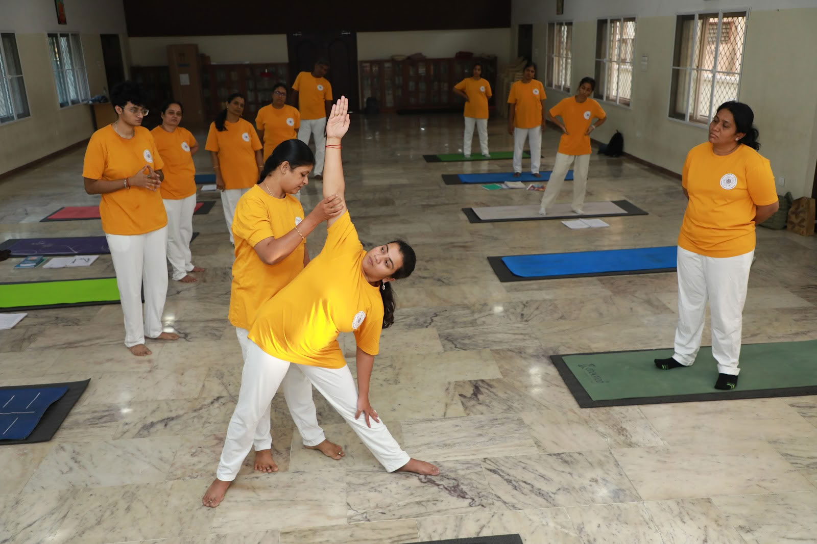 Instituto de Yoga Integral