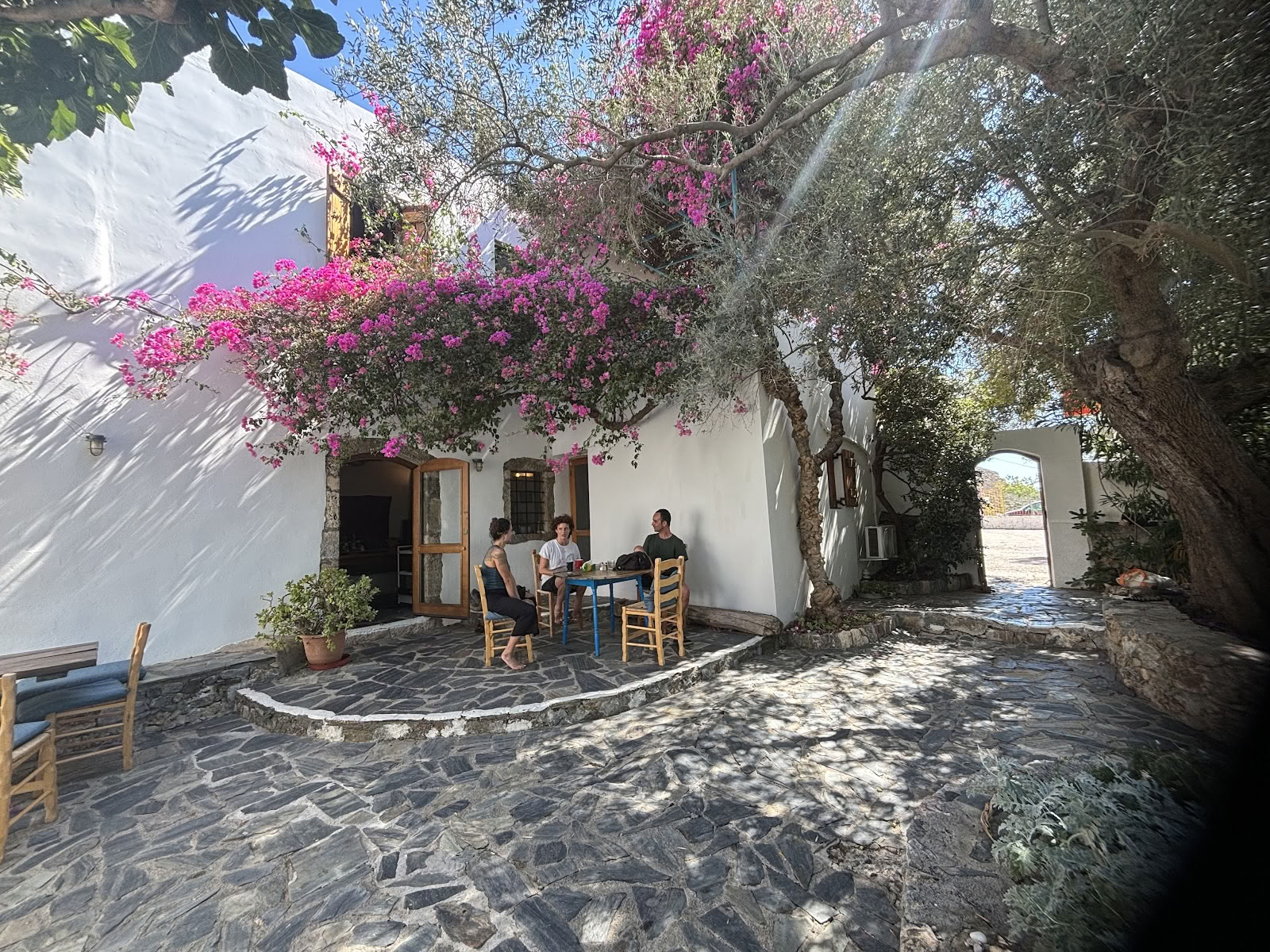 Retiros de yoga en Creta
