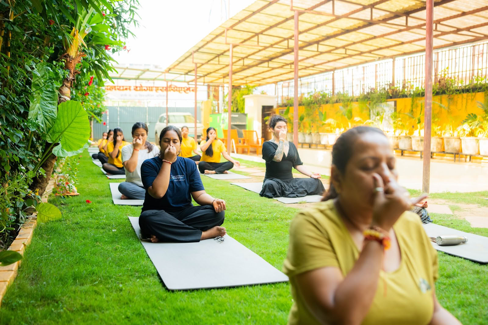 Asociación de Yoga del Himalaya®