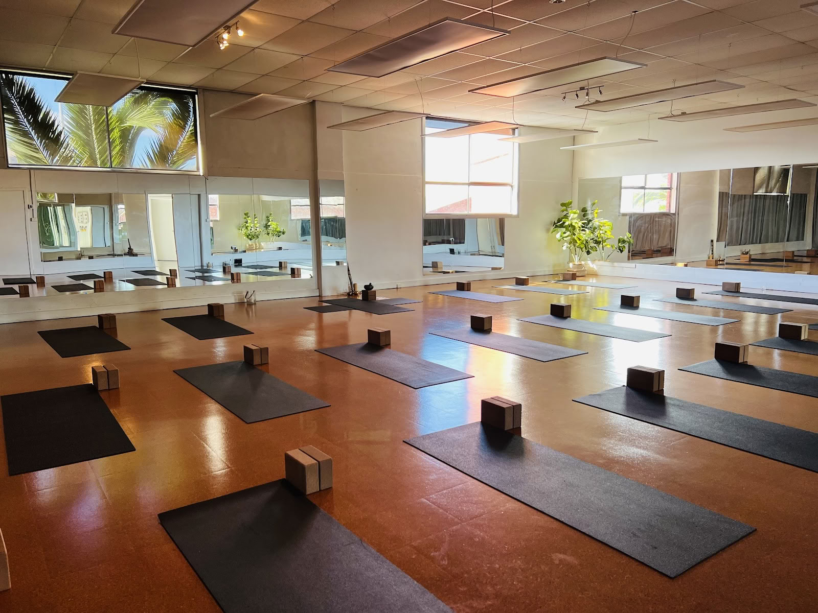 Yoga y Pilates de base