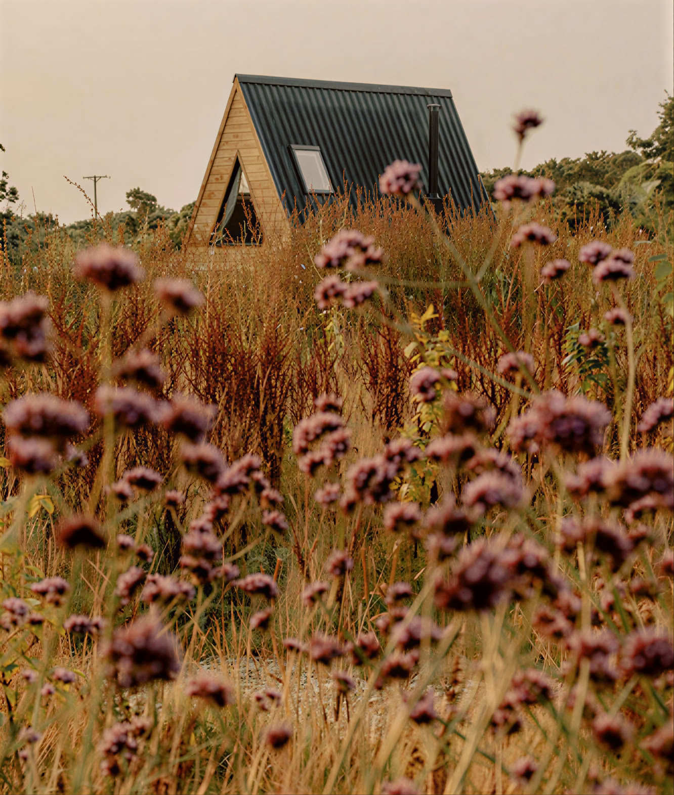 Cabilla Cornwall