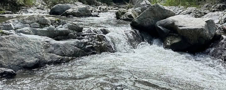 Finca Remedio