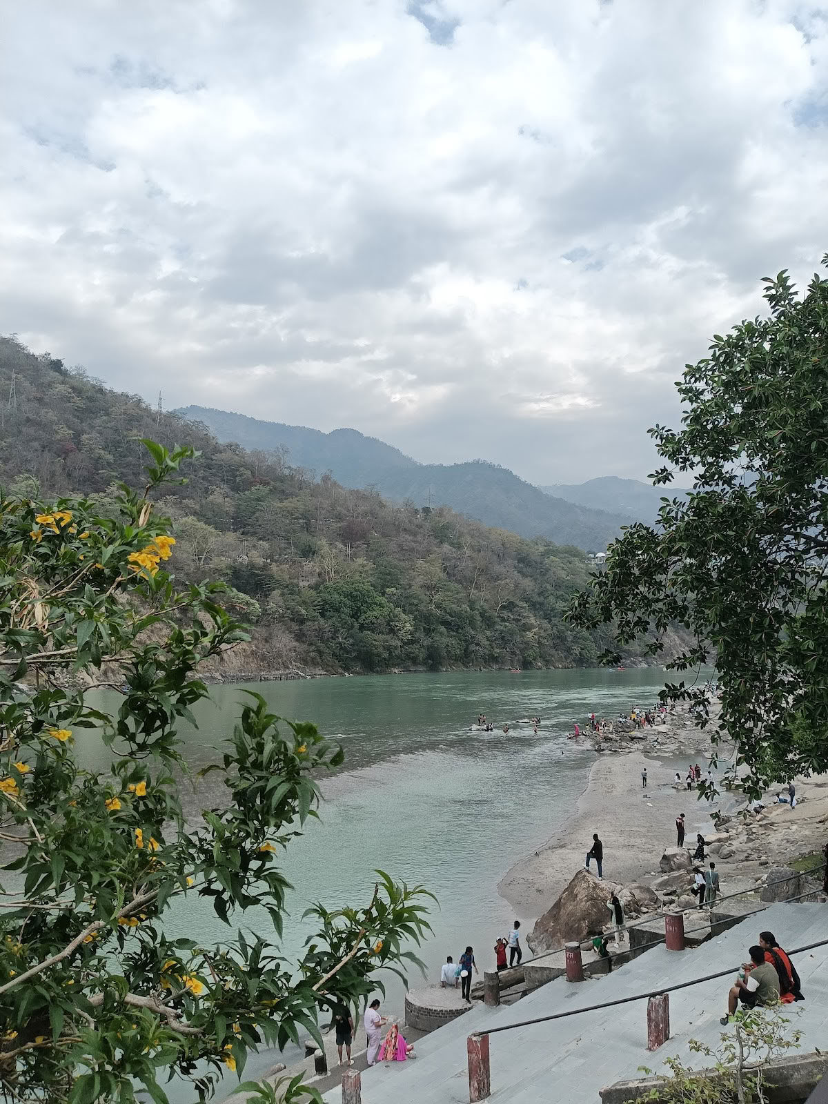 Academia Damini Sargam - Curso de sanación sonora en Rishikesh
