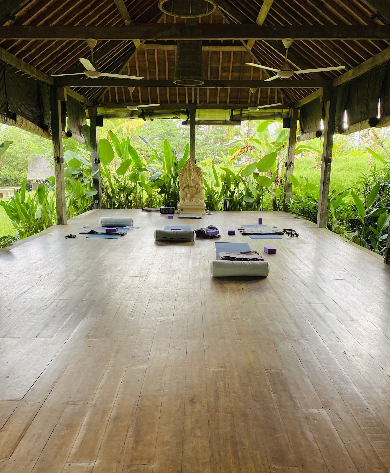 Formación de Yoga Interior en Bali | Formación de Profesores de Yoga en Bali