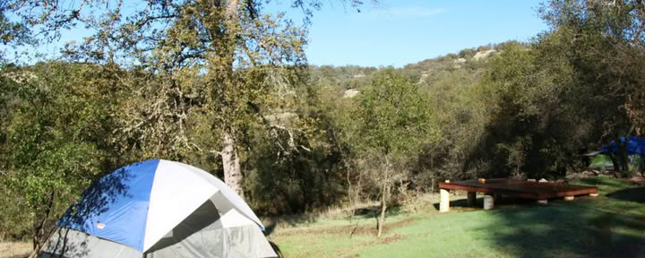 Carpa - Trae la tuya propia (hombre)