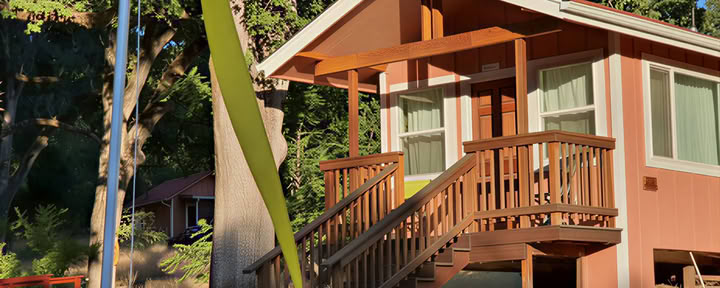 Krishna Cabin - reserva con un amigo (2 camas individuales)