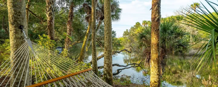 La Cabaña del Lirio de Agua