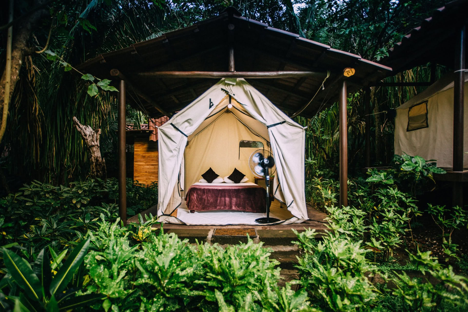 Tienda Plataforma sin Aire Acondicionado – Solo Cama Queen