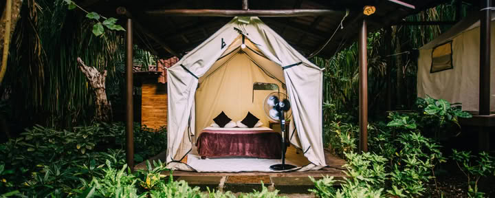 Tienda Plataforma sin Aire Acondicionado – Solo Cama Queen