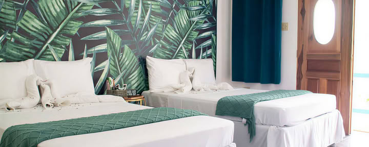 Suite 7 – Bamboo Bay (habitación doble)