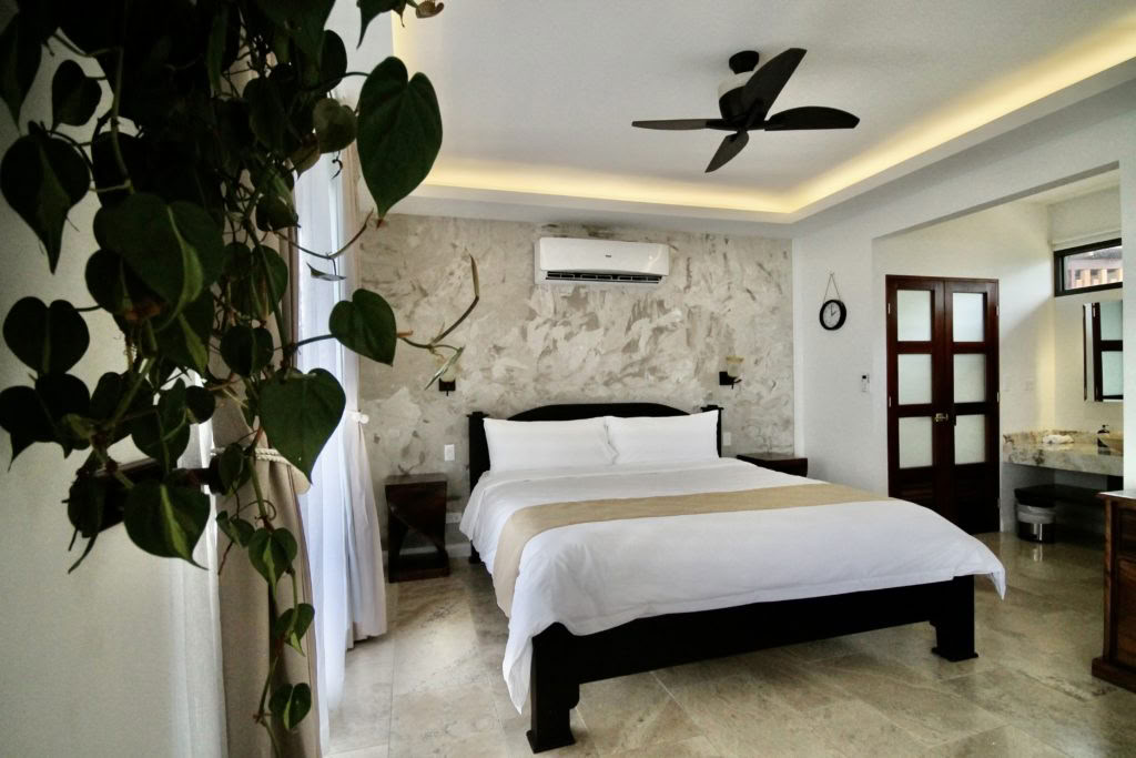 The Canopy Suite (King Bed)