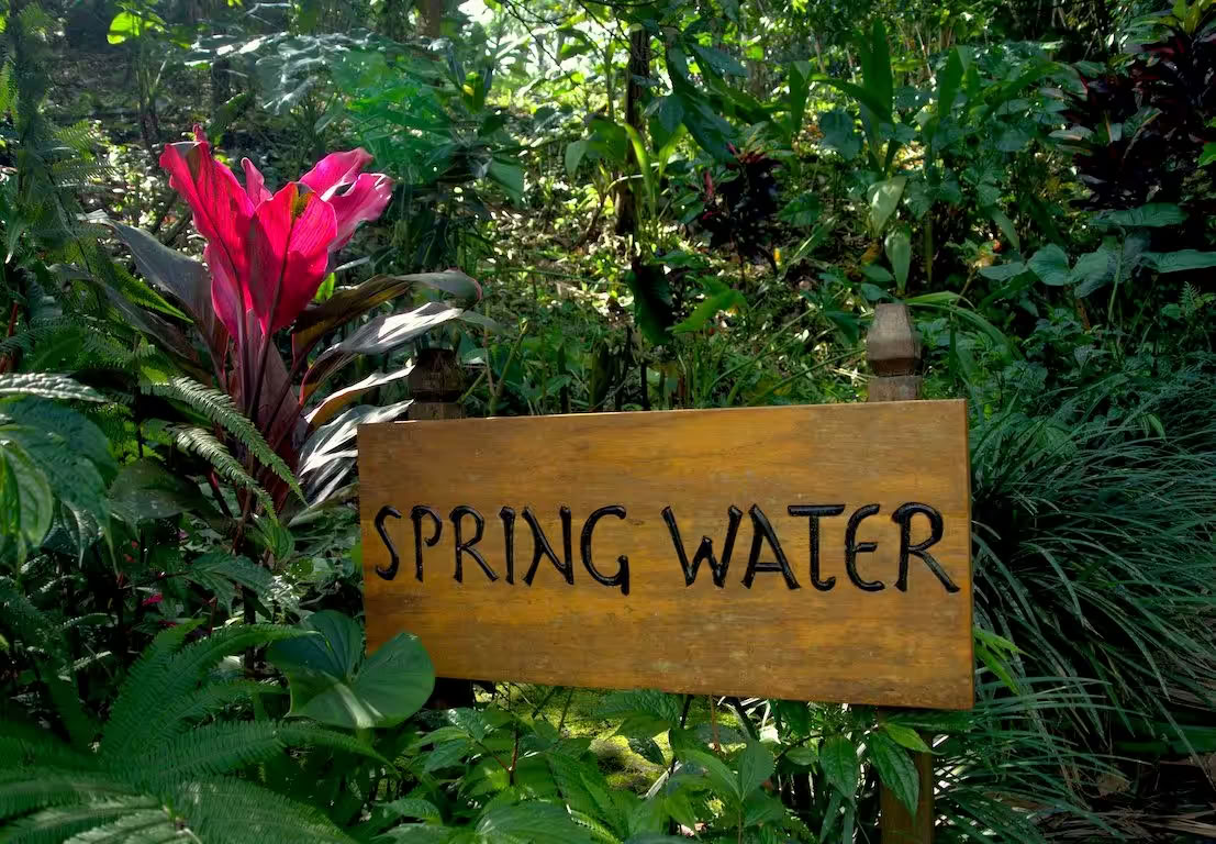Bungalow de Agua de Primavera