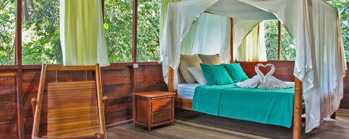 Suite Jungle con cama queen