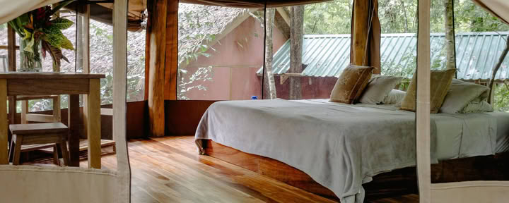 Glamping en el jardín