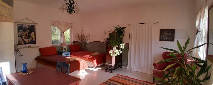 Apartamento estudio Love Birds