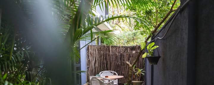 Sala Jardín de Palmeras