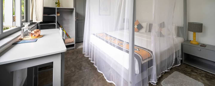 Habitación con vista a la palmera