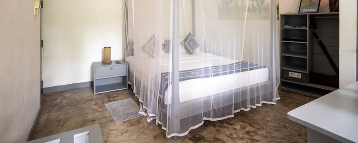 Habitación con vista a la jungla