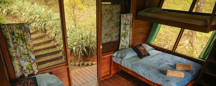 Habitación compartida